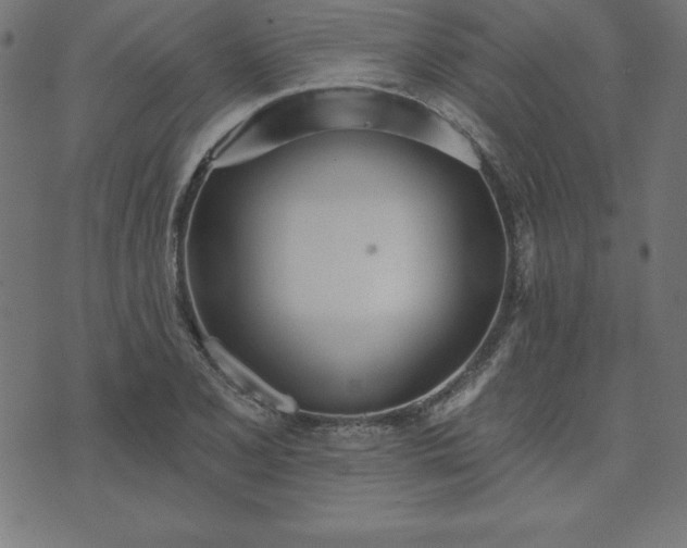 X0000073871077200608171001