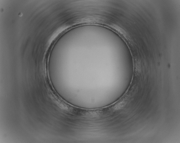 X0000073871078200608171001