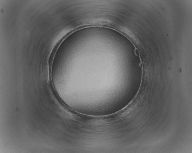 X0000073871079200608171001