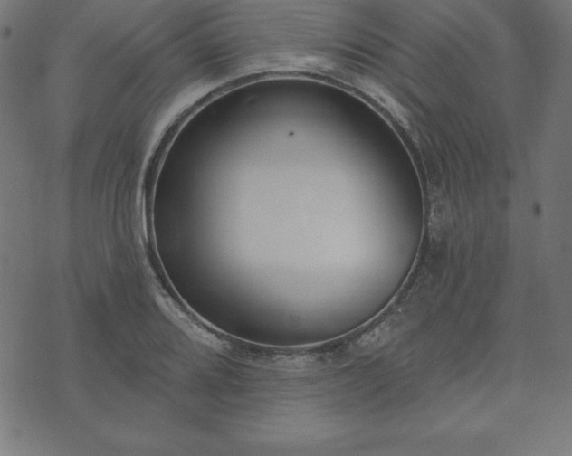 X0000073871080200608171001