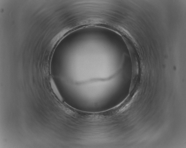 X0000073871081200608171001