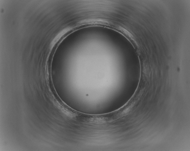 X0000073871082200608171001