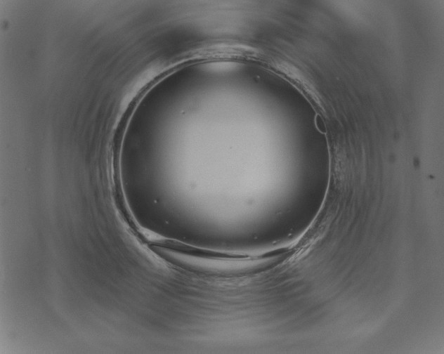 X0000073871083200608171001