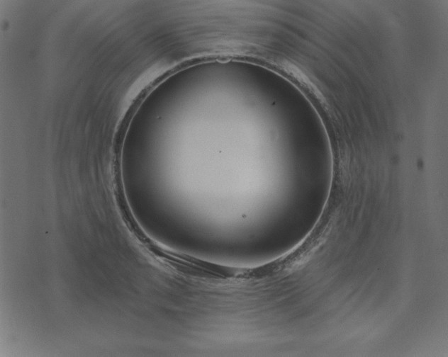 X0000073871085200608171001