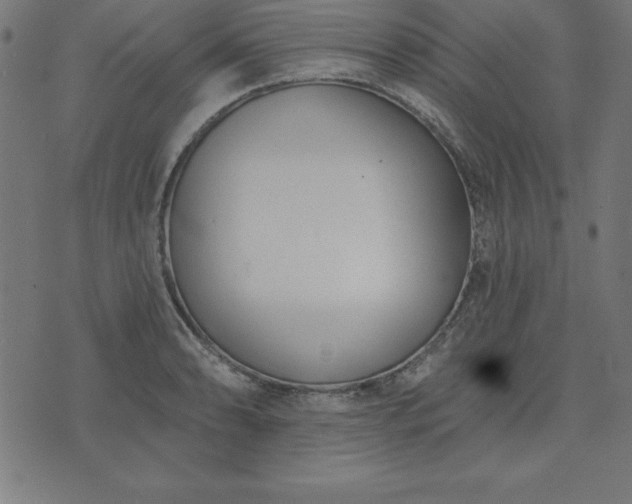 X0000073871086200608171001