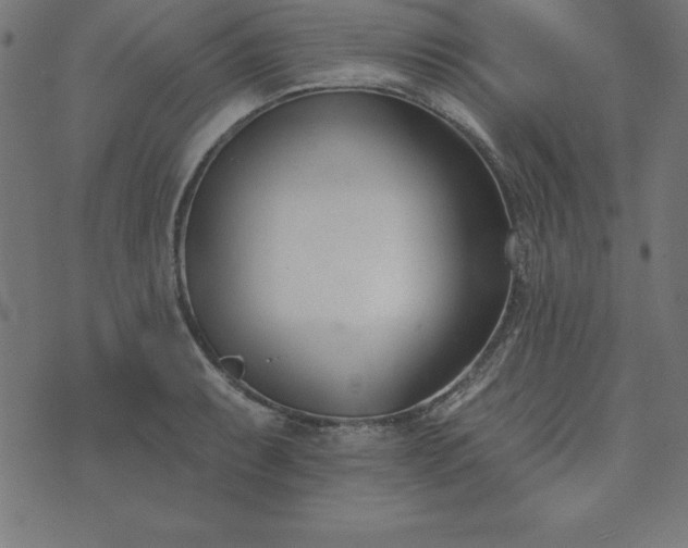 X0000073871087200608171001