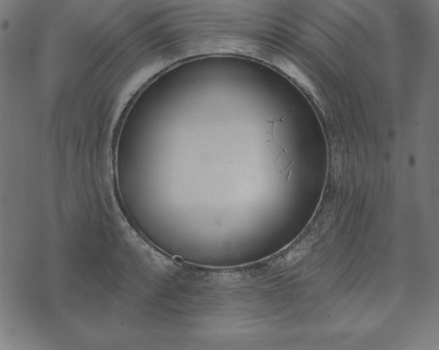 X0000073871088200608171001