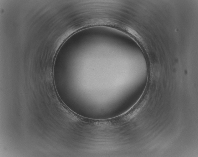 X0000073871089200608171001