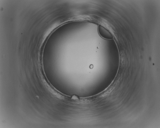 X0000073871091200608171001