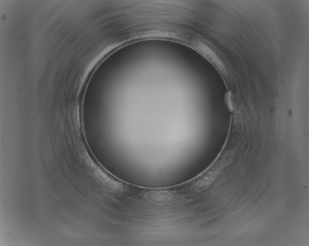 X0000073871092200608171001