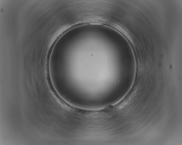 X0000073871093200608171001