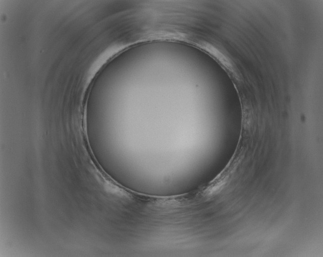 X0000073871094200608171001