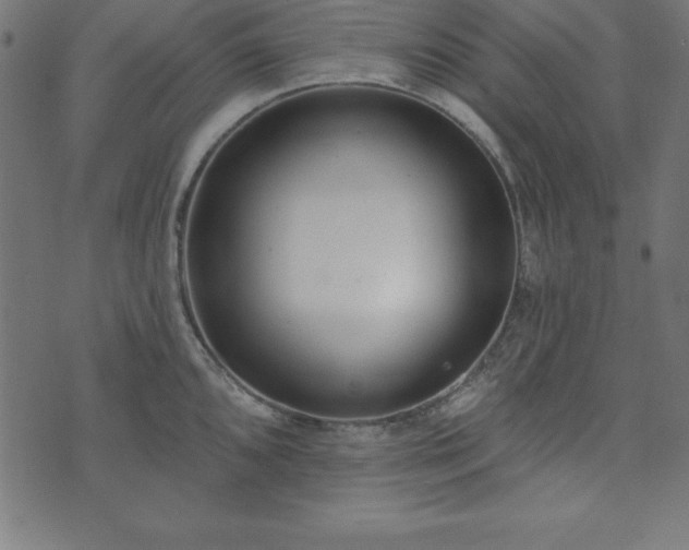 X0000073871096200608171001