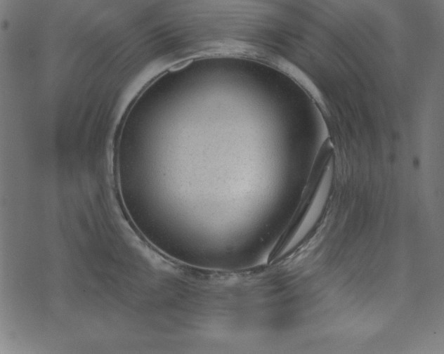 X0000073871099200608171001