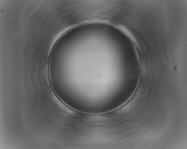 X0000073871100200608171001