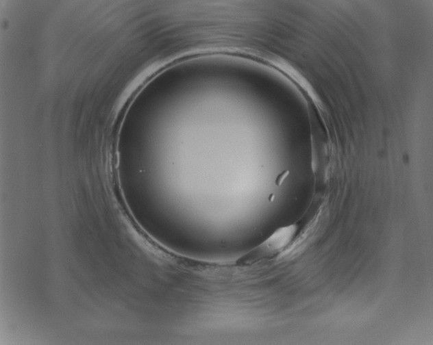 X0000073871101200608171001