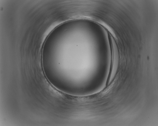 X0000073871102200608171001