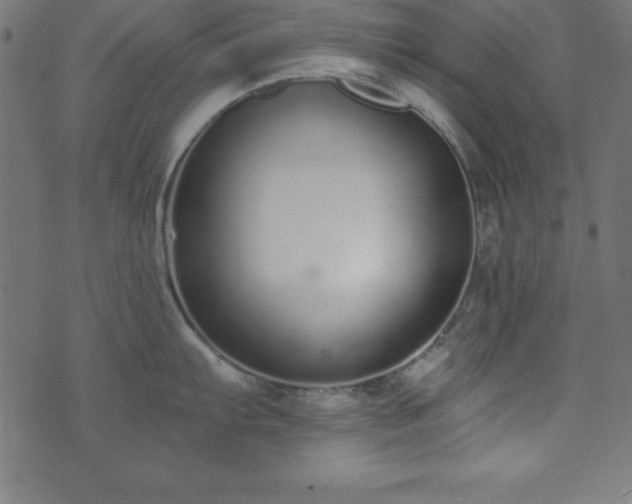 X0000073871103200608171001