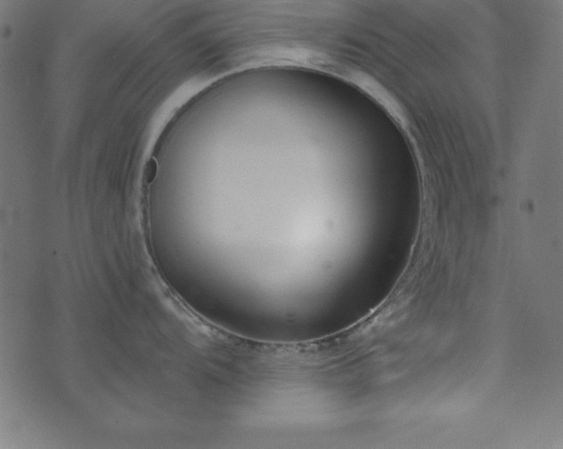 X0000073871104200608171001