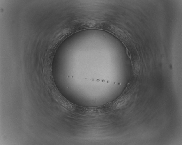 X0000073871105200608171000