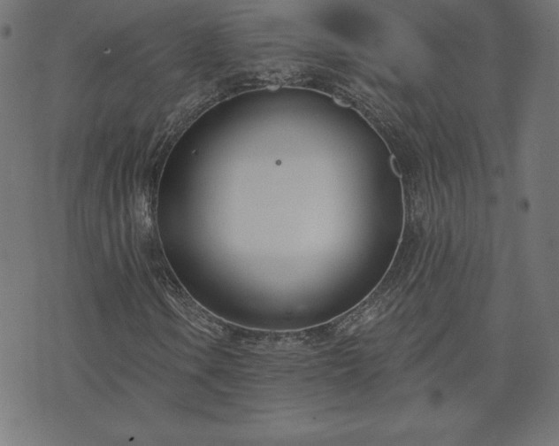 X0000073871106200608171000