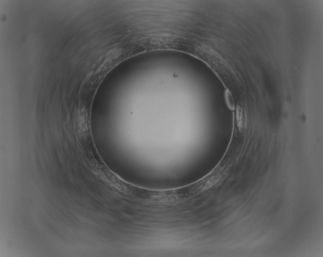 X0000073871107200608171000