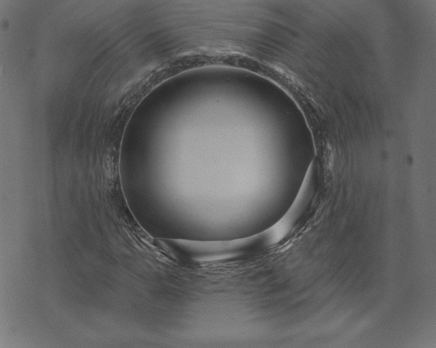 X0000073871110200608171000