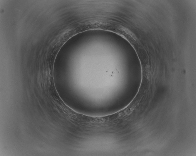 X0000073871111200608171000