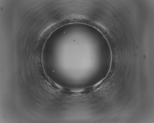 X0000073871112200608171000