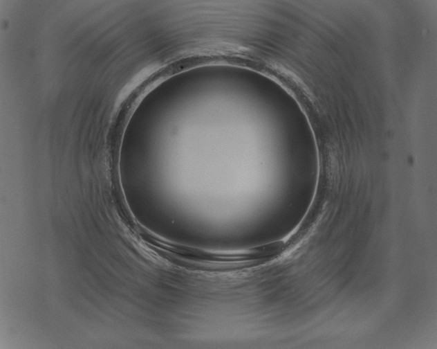 X0000073871114200608171000