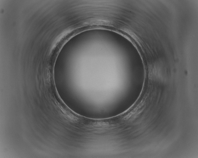 X0000073871115200608171000