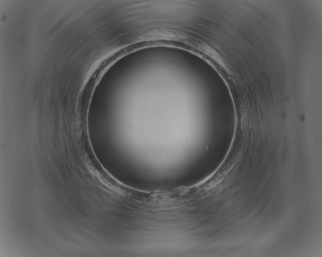 X0000073871116200608171000