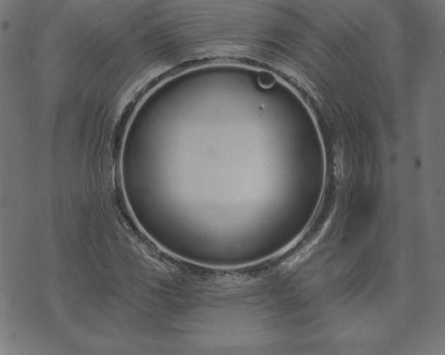 X0000073871117200608171000