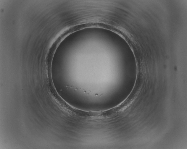 X0000073871118200608171000