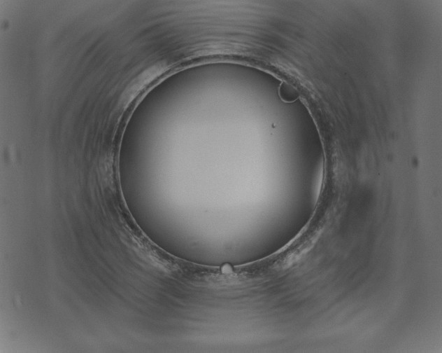 X0000073871121200608171000