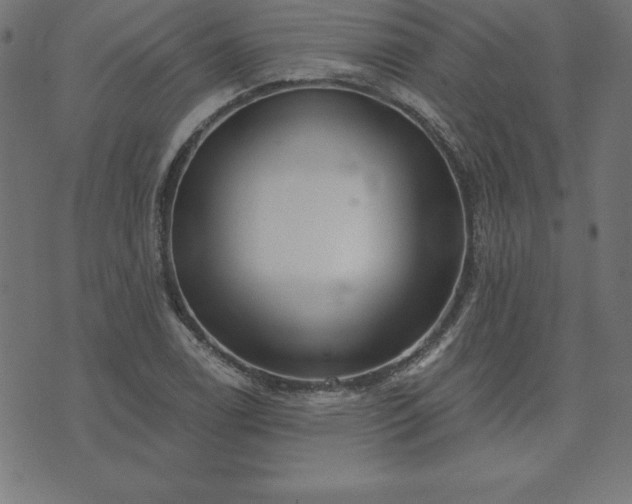 X0000073871122200608171000