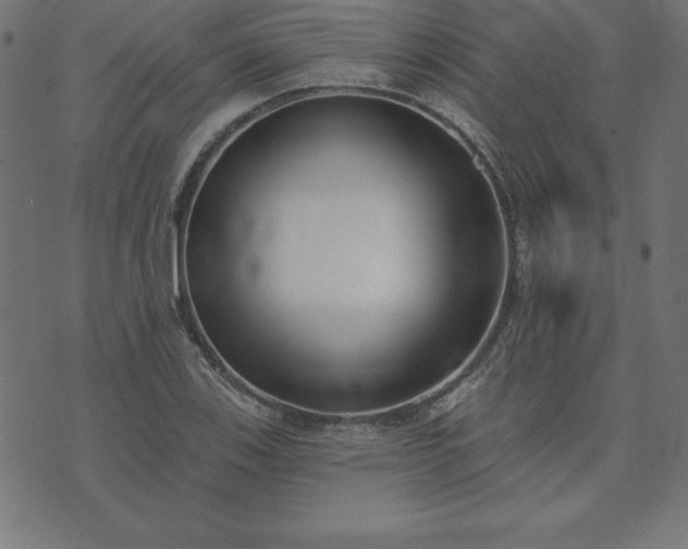 X0000073871123200608171000