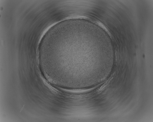 X0000073871124200608171000