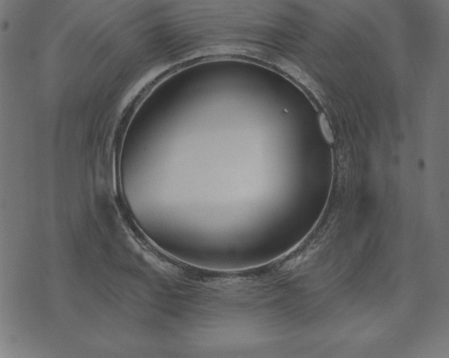 X0000073871127200608171001