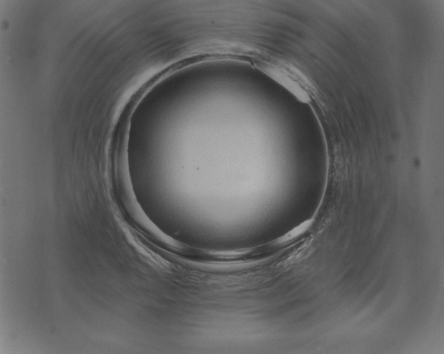 X0000073871128200608171001