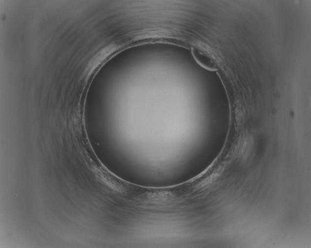 X0000073871129200608171001