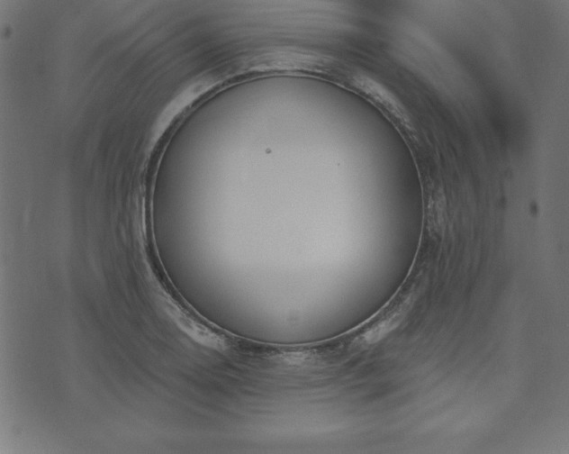 X0000073871130200608171001