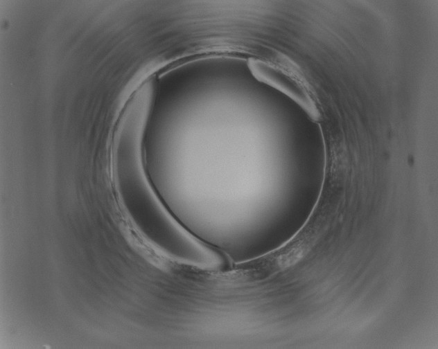 X0000073871132200608171001