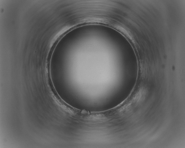 X0000073871133200608171001