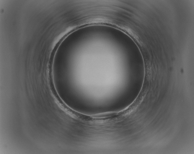 X0000073871134200608171001