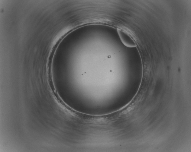 X0000073871135200608171001