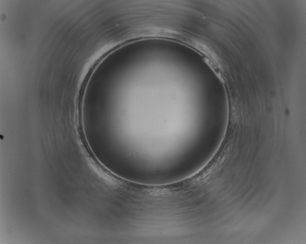 X0000073871136200608171001