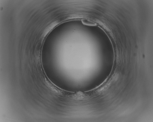 X0000073871137200608171001