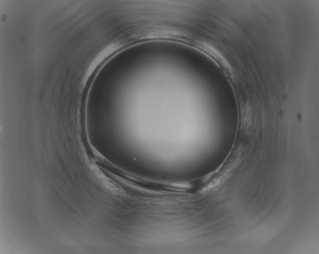 X0000073871138200608171001