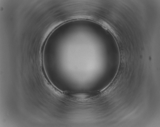 X0000073871140200608171001